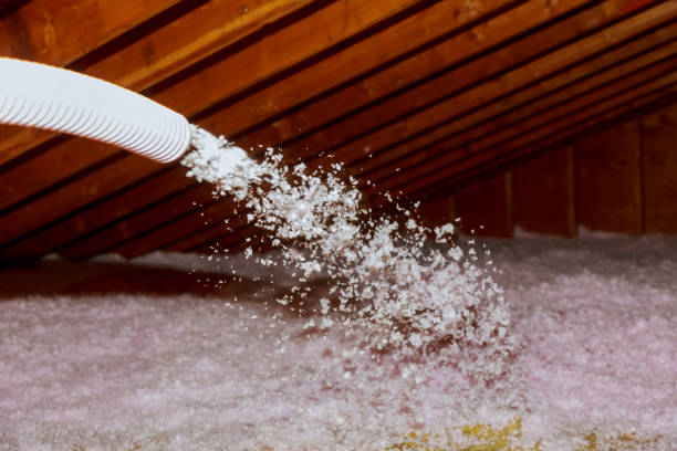 Insulation for Commercial Buildings in Remsen, IA