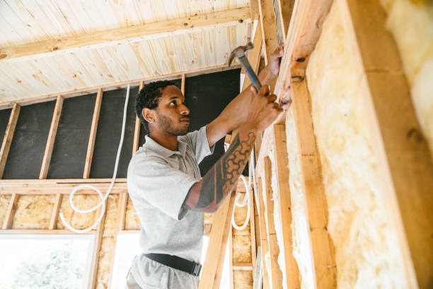 Best Soundproof Insulation Installation  in Remsen, IA